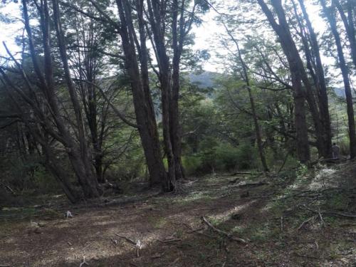 GOPR3394
